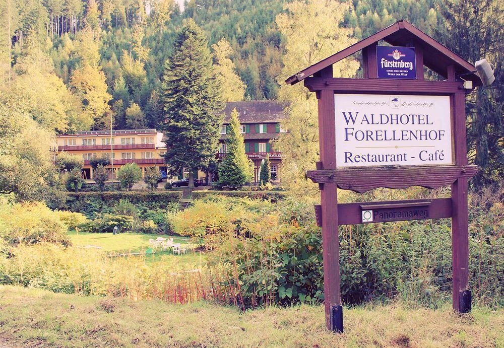 Waldhotel Forellenhof Баден-Баден Екстериор снимка